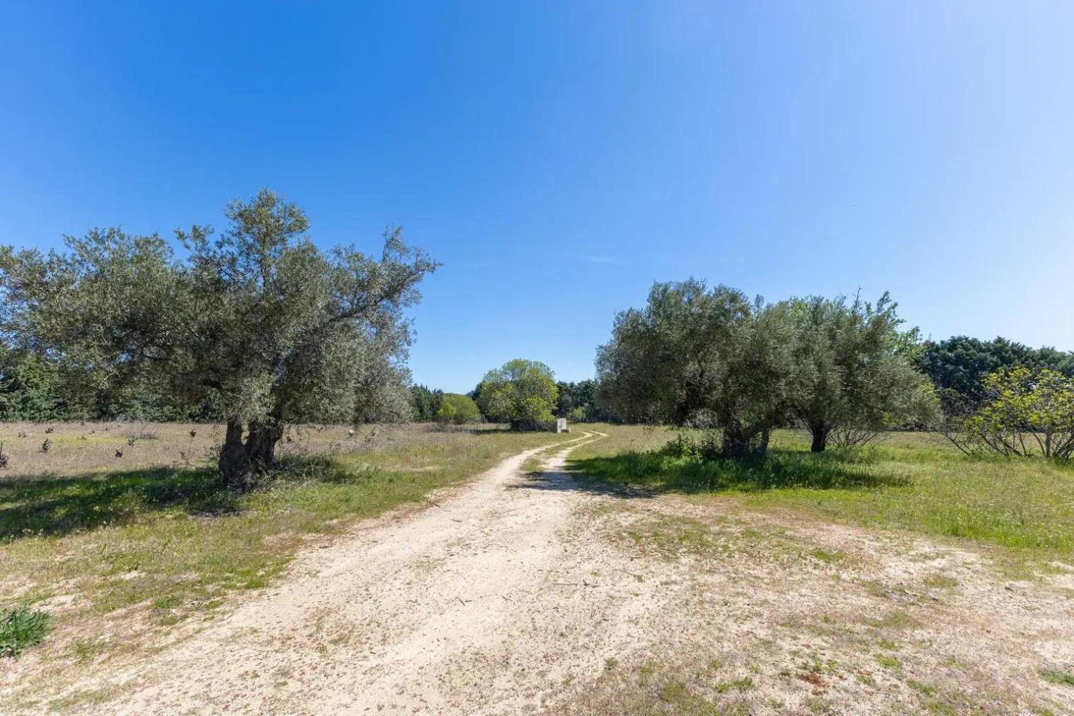 Finca El Palomar De La Vina - Madrid — Fotos 1